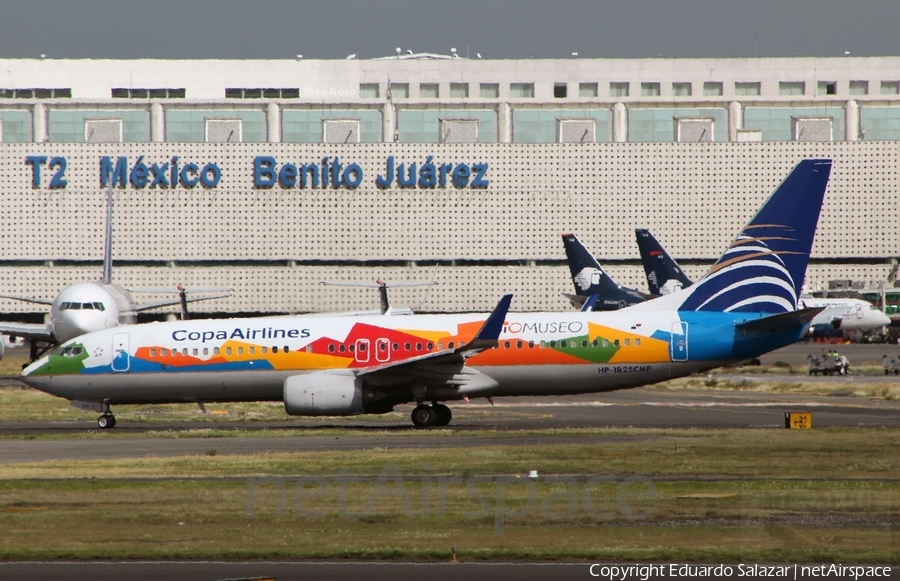 Copa Airlines Boeing 737-8V3 (HP-1825CMP) | Photo 91139