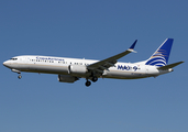 Copa Airlines Boeing 737-9 MAX (HP-9901CMP) at  Los Angeles - International, United States