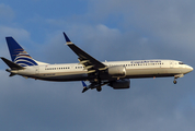 Copa Airlines Boeing 737-9 MAX (HP-9906CMP) at  Sao Paulo - Guarulhos - Andre Franco Montoro (Cumbica), Brazil