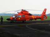 Indonesia - National Search and Rescue Agency (Basarnas) Eurocopter AS365N3+ Dauphin 2 (HR-3606) at  Palembang - Sultan Mahmud Badaruddin II International, Indonesia
