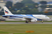 Bangkok Airways Airbus A319-132 (HS-PPG) at  Singapore - Changi, Singapore