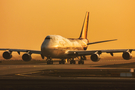 Thai Cargo Boeing 747-4D7(BCF) (HS-TGJ) at  Frankfurt am Main, Germany