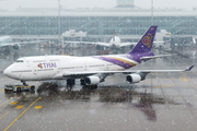 Thai Airways International Boeing 747-4D7 (HS-TGY) at  Munich, Germany