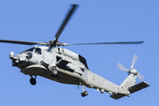 Spanish Navy (Armada Española) Sikorsky SH-60B Seahawk (HS.23-09) at  Cartagena, Spain
