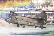 Spanish Army (Ejército de Tierra) Boeing CH-47D Chinook (HT.17-15) at  Sevilla, Spain