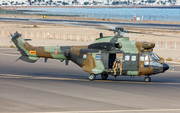 Spanish Army (Ejército de Tierra) Aerospatiale AS332B1 Super Puma (HT.21-10) at  Lanzarote - Arrecife, Spain