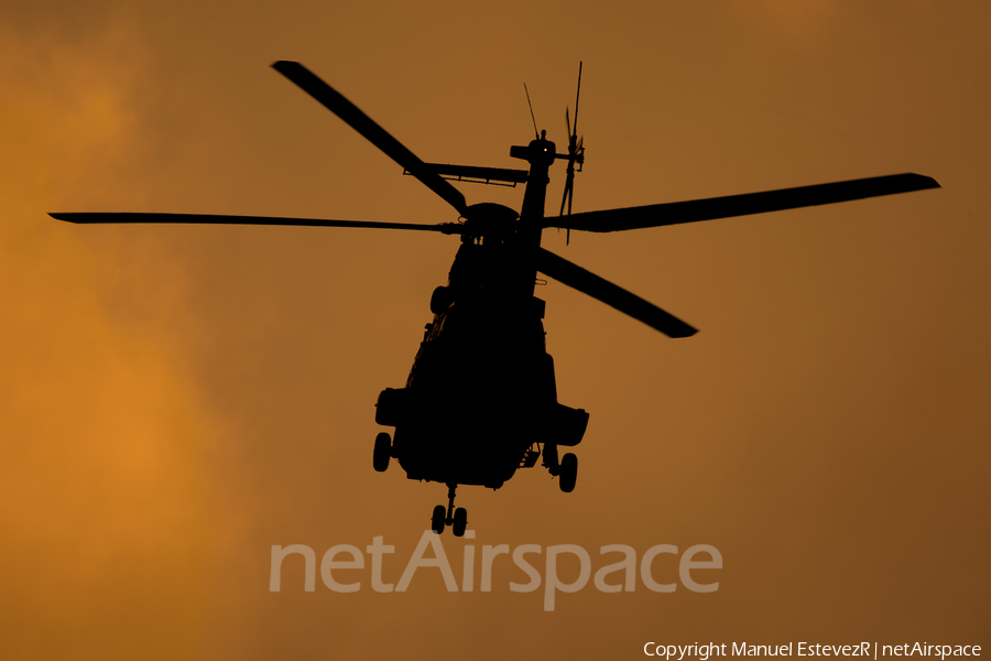 Spanish Army (Ejército de Tierra) Aerospatiale AS332B1 Super Puma (HT.21-10) | Photo 144625