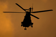 Spanish Army (Ejército de Tierra) Aerospatiale AS332B1 Super Puma (HT.21-10) at  Tenerife Norte - Los Rodeos, Spain