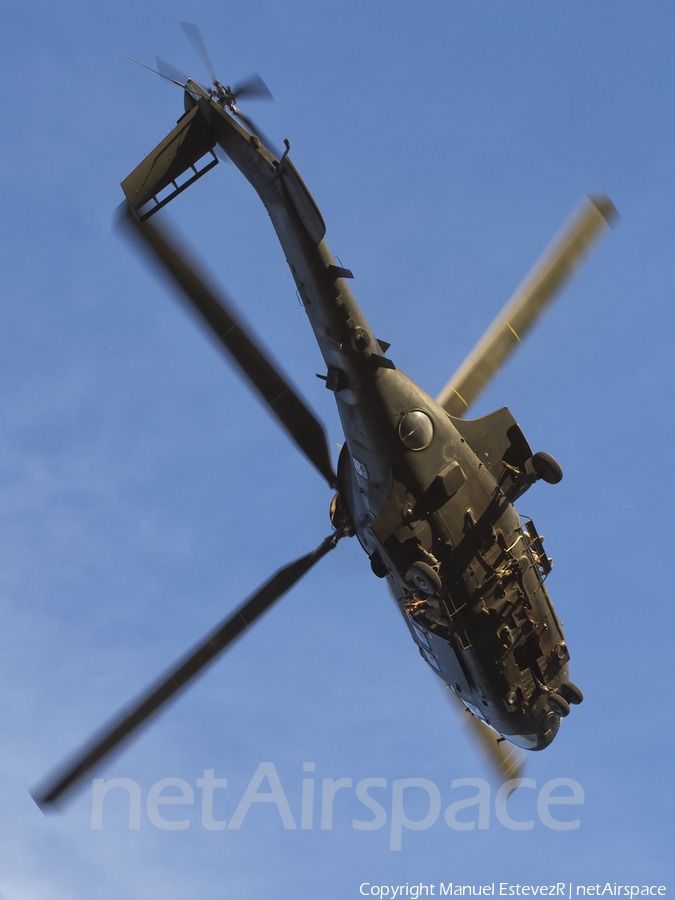 Spanish Army (Ejército de Tierra) Aerospatiale AS332B1 Super Puma (HU.21-10) | Photo 110521