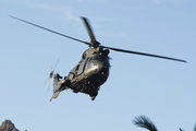 Spanish Army (Ejército de Tierra) Aerospatiale AS332B1 Super Puma (HU.21-10) at  Tenerife - Santa Cruz, Spain