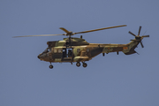 Spanish Army (Ejército de Tierra) Aerospatiale AS332B1 Super Puma (HU.21-19) at  Gran Canaria, Spain