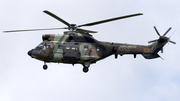 Spanish Army (Ejército de Tierra) Aerospatiale AS332B1 Super Puma (HU.21-19) at  Tenerife Norte - Los Rodeos, Spain