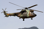 Spanish Army (Ejército de Tierra) Aerospatiale AS332B1 Super Puma (HU.21-20) at  La Palma (Santa Cruz de La Palma), Spain