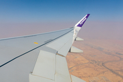 Flyadeal Airbus A320-251N (HZ-FAV) at  In Flight, Saudi Arabia