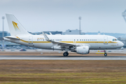 Sky Prime Aviation Services Airbus A319-115 CJ (HZ-SKY4) at  Munich, Germany