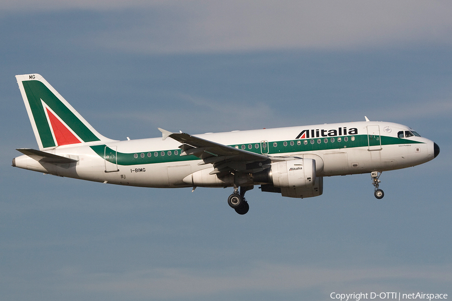 Alitalia Airbus A319-112 (I-BIMG) | Photo 264983