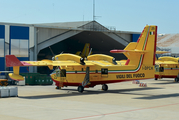 Italian - Vigili del Fuoco Canadair CL-415 (I-DPCH) at  Rome - Ciampino, Italy