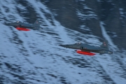 Swiss Air Force Northrop F-5E Tiger II (J-3072) at  Axalp, Switzerland