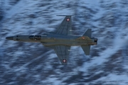 Swiss Air Force Northrop F-5E Tiger II (J-3074) at  Axalp, Switzerland