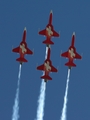 Swiss Air Force Northrop F-5E Tiger II (J-3081) at  Axalp, Switzerland