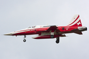 Swiss Air Force Northrop F-5E Tiger II (J-3082) at  Volkel - Air Base, Netherlands