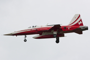 Swiss Air Force Northrop F-5E Tiger II (J-3084) at  Volkel - Air Base, Netherlands