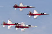 Swiss Air Force Northrop F-5E Tiger II (J-3088) at  Radom, Poland