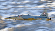 Swiss Air Force Northrop F-5E Tiger II (J-3094) at  Axalp, Switzerland