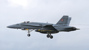 Swiss Air Force McDonnell Douglas F/A-18C Hornet (J-5005) at  Schleswig - Jagel Air Base, Germany