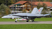 Swiss Air Force McDonnell Douglas F/A-18C Hornet (J-5006) at  Meiringen - Unterbach, Switzerland