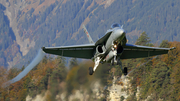 Swiss Air Force McDonnell Douglas F/A-18C Hornet (J-5006) at  Meiringen - Unterbach, Switzerland