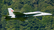 Swiss Air Force McDonnell Douglas F/A-18C Hornet (J-5006) at  Mollis, Switzerland