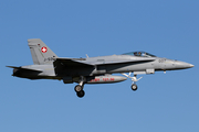 Swiss Air Force McDonnell Douglas F/A-18C Hornet (J-5007) at  Leeuwarden Air Base, Netherlands