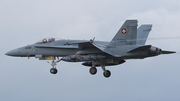 Swiss Air Force McDonnell Douglas F/A-18C Hornet (J-5008) at  Schleswig - Jagel Air Base, Germany