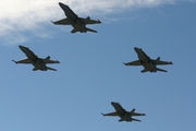 Swiss Air Force McDonnell Douglas F/A-18C Hornet (J-5008) at  Axalp, Switzerland
