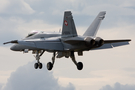 Swiss Air Force McDonnell Douglas F/A-18C Hornet (J-5009) at  RAF Fairford, United Kingdom