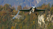 Swiss Air Force McDonnell Douglas F/A-18C Hornet (J-5009) at  Meiringen - Unterbach, Switzerland