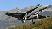 Swiss Air Force McDonnell Douglas F/A-18C Hornet (J-5009) at  Meiringen - Unterbach, Switzerland