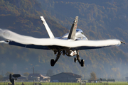 Swiss Air Force McDonnell Douglas F/A-18C Hornet (J-5009) at  Meiringen - Unterbach, Switzerland