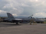 Swiss Air Force McDonnell Douglas F/A-18C Hornet (J-5009) at  Payerne Air Base, Switzerland