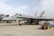 Swiss Air Force McDonnell Douglas F/A-18C Hornet (J-5009) at  Luqa - Malta International, Malta