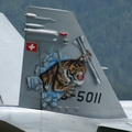 Swiss Air Force McDonnell Douglas F/A-18C Hornet (J-5011) at  Zeltweg, Austria