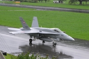 Swiss Air Force McDonnell Douglas F/A-18C Hornet (J-5017) at  Meiringen - Unterbach, Switzerland