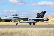Swiss Air Force McDonnell Douglas F/A-18C Hornet (J-5018) at  Albacete - Los Llanos Air Base, Spain