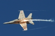 Swiss Air Force McDonnell Douglas F/A-18C Hornet (J-5019) at  Axalp, Switzerland