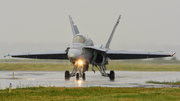 Swiss Air Force McDonnell Douglas F/A-18C Hornet (J-5020) at  Aalborg, Denmark