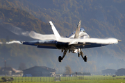 Swiss Air Force McDonnell Douglas F/A-18C Hornet (J-5021) at  Meiringen - Unterbach, Switzerland