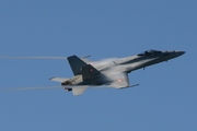 Swiss Air Force McDonnell Douglas F/A-18C Hornet (J-5022) at  Axalp, Switzerland