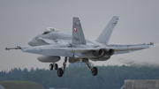 Swiss Air Force McDonnell Douglas F/A-18C Hornet (J-5023) at  Schleswig - Jagel Air Base, Germany
