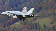 Swiss Air Force McDonnell Douglas F/A-18C Hornet (J-5024) at  Meiringen - Unterbach, Switzerland